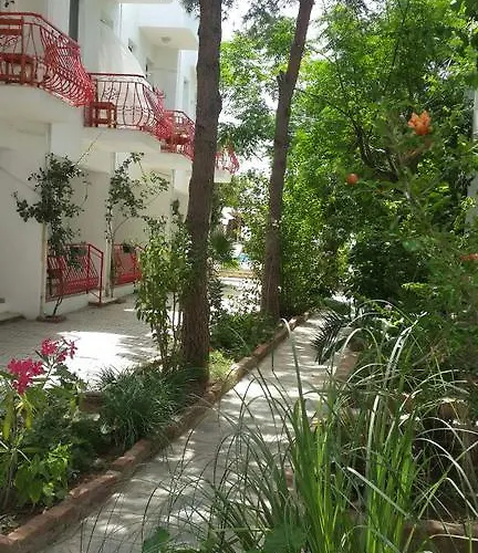 Florida Αλικαρνασσός