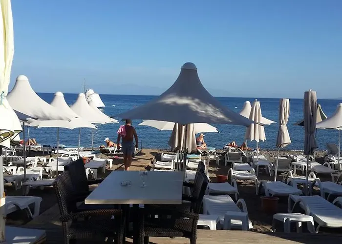 Florida Αλικαρνασσός