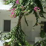 Florida Bodrum