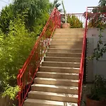 Florida Bodrum