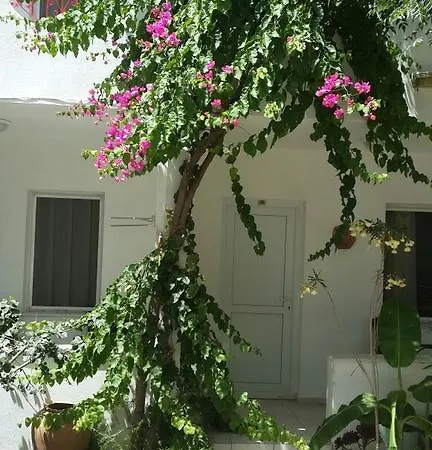 Florida بودروم